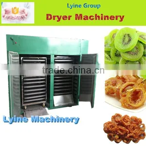 Lyine Machinery for Sale Professional Industrial Hot Air Dryer Machine thumbnail-1