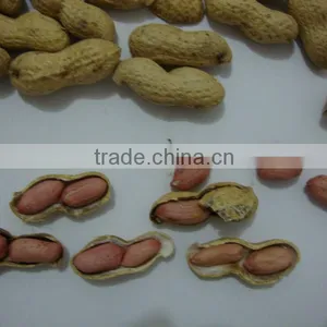 Peanut Inshell thumbnail-1