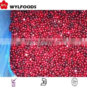 IQF China Price for Frozen Linggonberry Hot Sales thumbnail-3