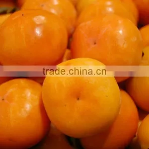 Manufactory Supplier of Diospyros Kaki Fruit Extract,Diospyros Kaki Fruit Extract Powder,Diospyros Kaki Extract 4:1~20:1 thumbnail-2