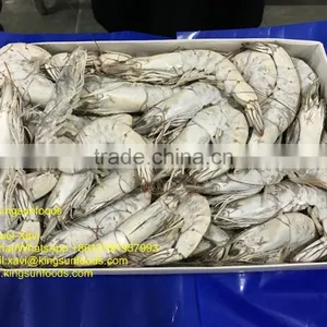High Quality HOSO Vannamei,Shrimp Vannamei From India thumbnail-2