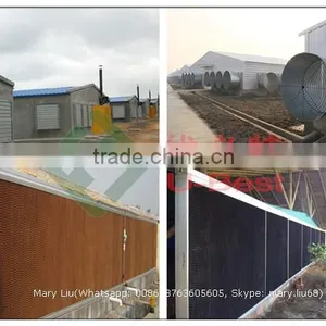 Poultry Farm Heating System thumbnail-4