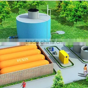 Puxin 100m3 Biogas Digester for Power thumbnail-1