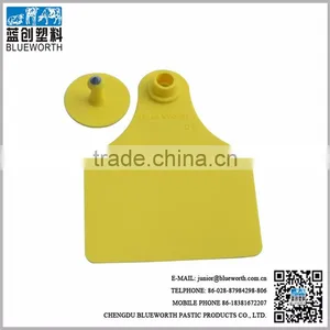 2016 Top Sale 1#+6# Two Pieces Cattle Ear Tags in Indore thumbnail-4