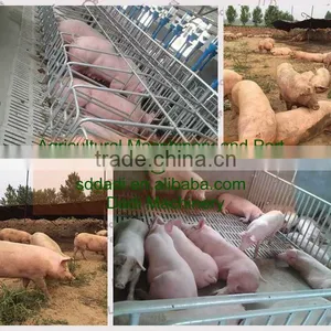 Leader Factory on Line Cast Iron Floor Pigs Farm Machinery Spare Part Cast Iron Drain Grate thumbnail-1