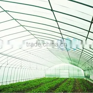 Single Span Film Tunnel Greenhouse thumbnail-3