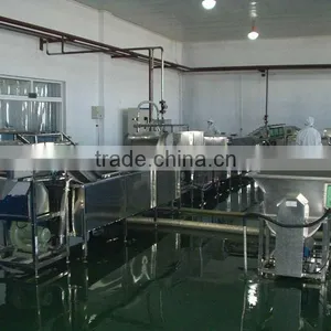 Dehydrated Vegetable Processing Dried Fruit Production Line thumbnail-4