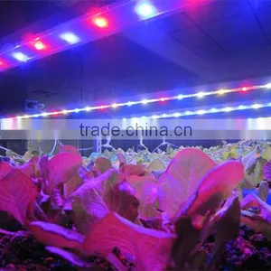 MarsHydro Mini LED Lights Full Spectrum LED Grow Light Hydroponics Grow System LED Grow Light Grow Bar for Reselling thumbnail-3
