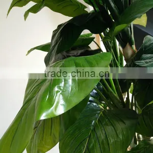 Fake Radermachera Artificial Decorativa Plant Tall Plant thumbnail-6