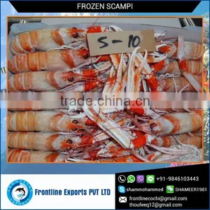 High Quality Frozen Scampi at Lowest Price thumbnail-1