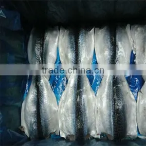 Seafood With Frozen Fresh Mackerel thumbnail-1
