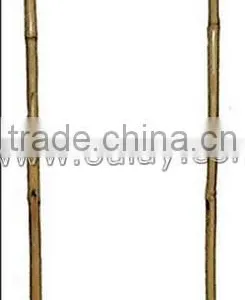 U-hoop Bamboo Poles Baoboo Canes for Agriculture thumbnail-4