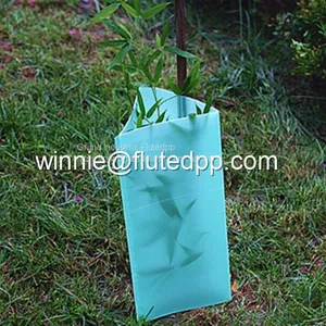 Customize Corflute Plant Guards thumbnail-2
