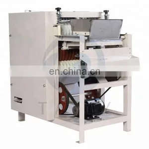 Taizy High Efficient Wet Type Almond Monkey Nut Blanching Peanut Red Skin Peeler Peanut Peeling Machine Price thumbnail-5