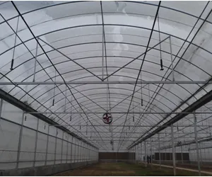 Multispan Double-Layer Air Inflated Plastic Film Greenhouse thumbnail-2