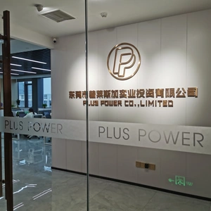 Dongguan Plus Power Co., Ltd. company overview - view 2 thumbnail
