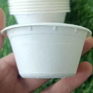 2oz 50ml Biodegradable Compostable Disposable Sugarcane Bagasse Party Supplier Paper Cup thumbnail-4