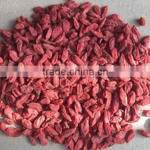 Manufactory Supply Bulk Goji Berries thumbnail-1