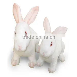 Plush Animal Soft Toy Bunny thumbnail-1