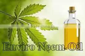 Neem Oil From Natural Enviro Exports For Export thumbnail-2
