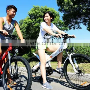 Haoling Seagull 48v 500w Electric Bike , Electric Bike 500w thumbnail-4
