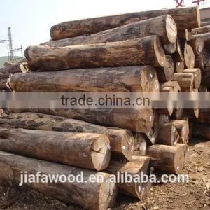 White Birch Logs, Baltic Birch Logs, Latvia Birch Logs Quality Choice thumbnail-1