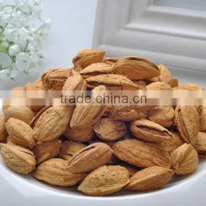 Chinese Badam Almond in Shell With QS Standard thumbnail-2