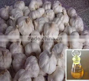 High Purity Organic Garlic Oil Hot Selling thumbnail-3