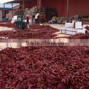 Paprika Pods thumbnail-2