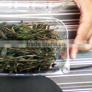 MINT LEAF thumbnail-1