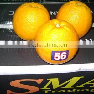 Fresh Valencia Orange thumbnail-1
