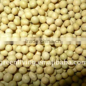 Soya Bean & Yellow Bean thumbnail-1