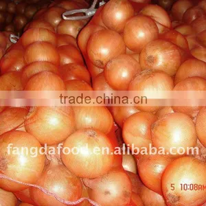Packed in 20kg Mesh Bag Fresh Yellow Onion thumbnail-1