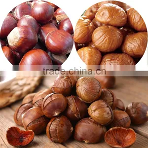 New Crop Organic Chinese Fresh Chestnuts----best Chestnuts for Roasting thumbnail-6