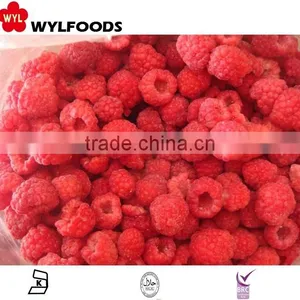 IQF Frozen Raspberry Grade A Whole thumbnail-5