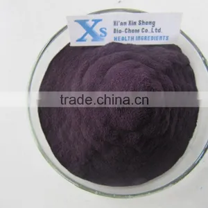 Natural High Quality Black Currant P.E./Black Currant Extract/Black Currant Extract Powder/Black Currant Powder thumbnail-1