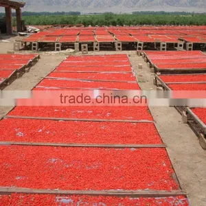 Dried Goji Berry thumbnail-3