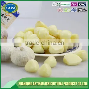 Factory Peeled Garlic Price thumbnail-1
