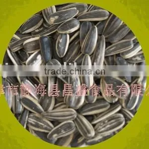 Sunflower Seed With Milky Aroma thumbnail-1