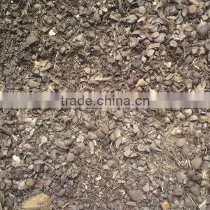 Palm Kernel Shell thumbnail-1