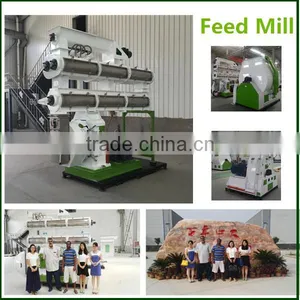 1-10t/h Poultry Feed Manufacturing Equipment/1-5t.h Poultry Feed Processing Equipment/Sinking Fish Feed Production Plant thumbnail-1
