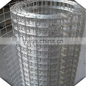 1*30m Hot Sale 1/4 Inch Galvanized Welded Wire Mesh for Sale thumbnail-1
