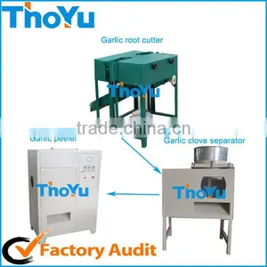Ginger&garlic Peeler/industrial Garlic Peeler From Zhengzhou Thoyu Machinery SMS:0086-15238398301 thumbnail-1