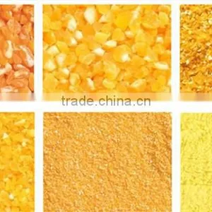 Small Size Flour Mill Manufacturers Maize Flour Milling Machines for Corn Flour Milling Plant thumbnail-4
