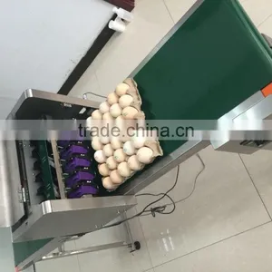 Solvent Inkjet Printing Machine/egg Printer thumbnail-1