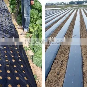 Agriculture Suage Silver Black Mulch Film thumbnail-2