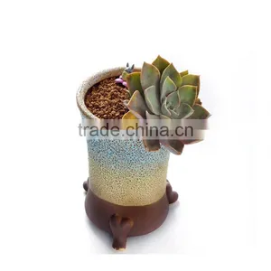 New Design Large Caliber Meaty Plants Ceramic Outdoor Planters thumbnail-2