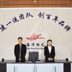 The Sea Feather Limited Company Of Luan company overview - view 3 thumbnail