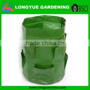 Garden Strawberry Grow Bag thumbnail-1