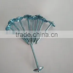 Blue Galvanized Roofing Nails to Indonesia thumbnail-3